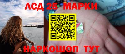 прущие грибы Апшеронск