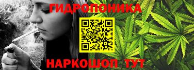 тгк Аргун