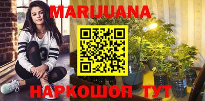 прущие грибы Апшеронск