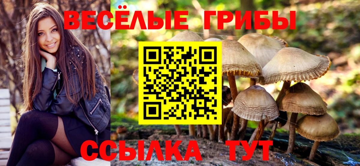 Галлюциногенные грибы прущие грибы  Ахтубинск 