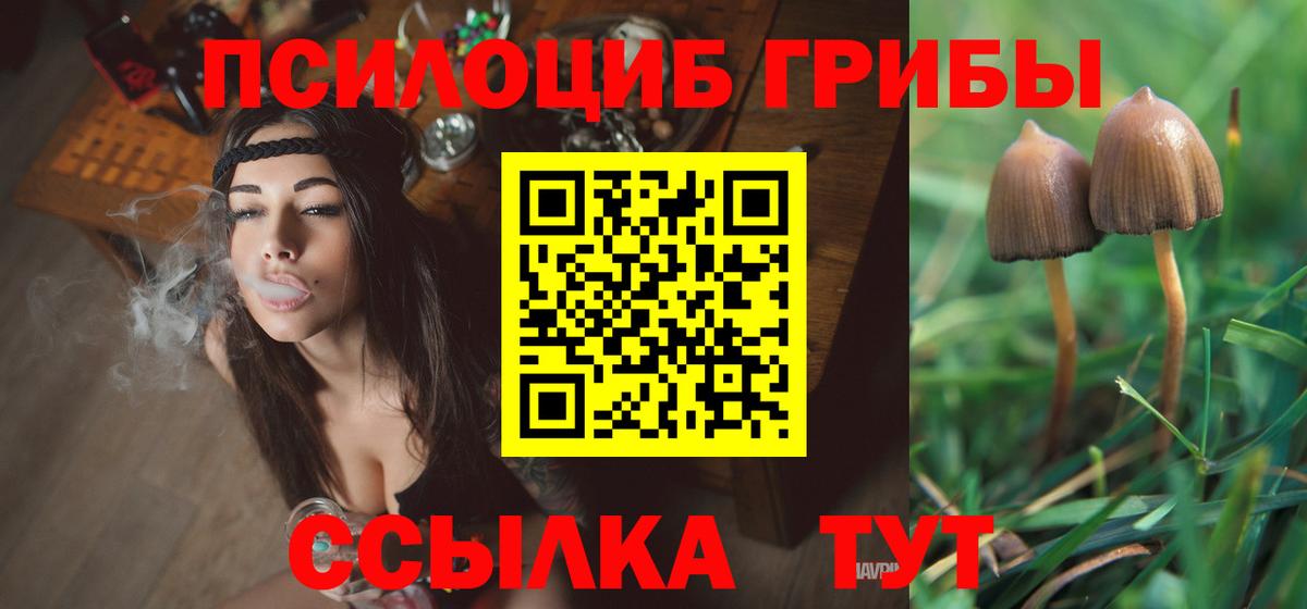 Псилоцибиновые грибы Psilocybine cubensis  Псилоцибиновые грибы Cubensis  Вход с VPN  Ахтубинск 